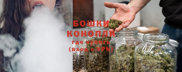 PSILOCYBIN Приозерск