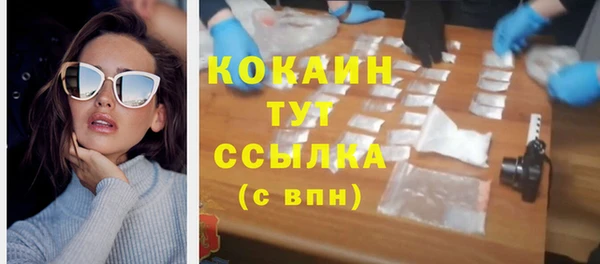 mix Туринск