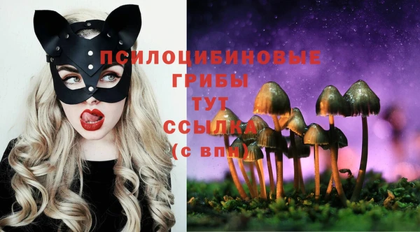Альфа ПВП Покачи