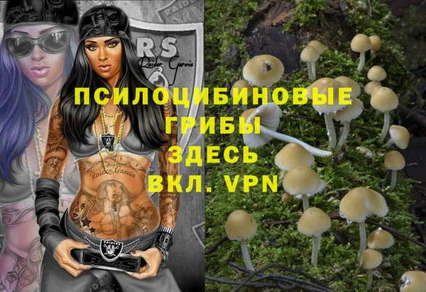 Альфа ПВП Покачи
