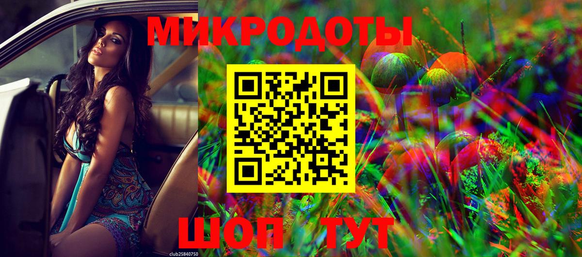 Псилоцибиновые грибы Psilocybe Сарапул