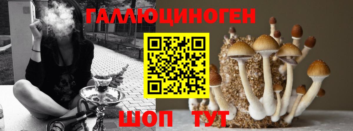 Псилоцибиновые грибы прущие грибы  Псилоцибиновые грибы GOLDEN TEACHER  Вход с VPN  Сарапул 